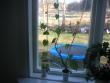 tn_gallery_9091_243_162590.jpg