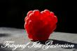 tn_gallery_9841_239_71271.jpg