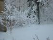 tn_gallery_14_247_27094.jpg