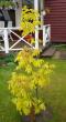 tn_gallery_14_247_3262.jpg