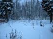 tn_gallery_14_247_42448.jpg
