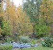 tn_gallery_14_247_54183.jpg