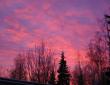 tn_gallery_14_247_78955.jpg