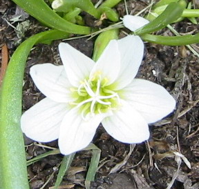 gallery_14_245_12428.jpg
