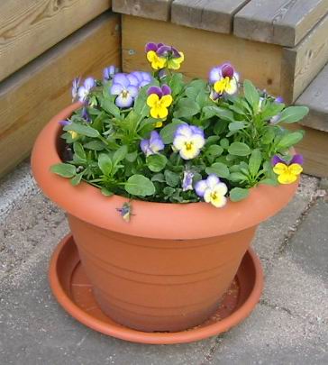 gallery_14_245_24954.jpg