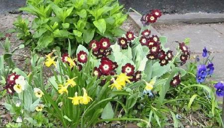 gallery_14_245_32443.jpg