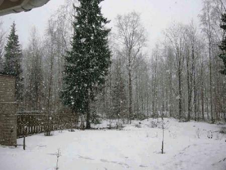gallery_14_245_34170.jpg