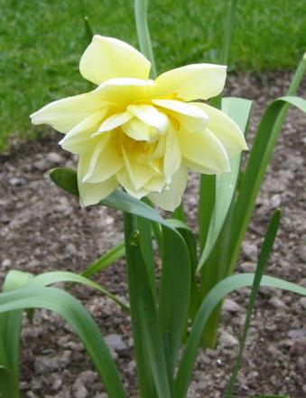 gallery_14_245_58755.jpg