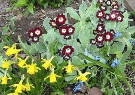 gallery_14_245_73357.jpg