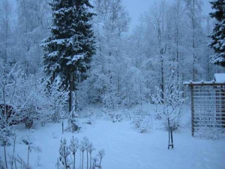 gallery_14_247_26616.jpg