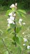 tn_gallery_14_245_13657.jpg