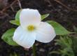 tn_gallery_14_245_19425.jpg