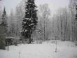 tn_gallery_14_245_2354.jpg