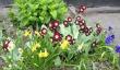 tn_gallery_14_245_32443.jpg