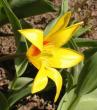tn_gallery_14_245_3893.jpg