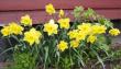 tn_gallery_14_245_52717.jpg