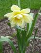 tn_gallery_14_245_58755.jpg
