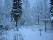 tn_gallery_14_247_26616.jpg