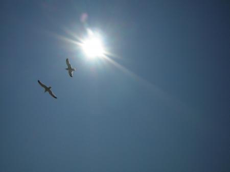 gallery_1262_257_153184.jpg