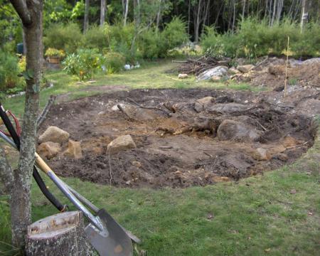 gallery_7048_156_106666.jpg
