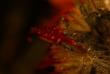 tn_gallery_9841_239_131623.jpg