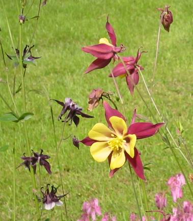 gallery_14_246_1679.jpg