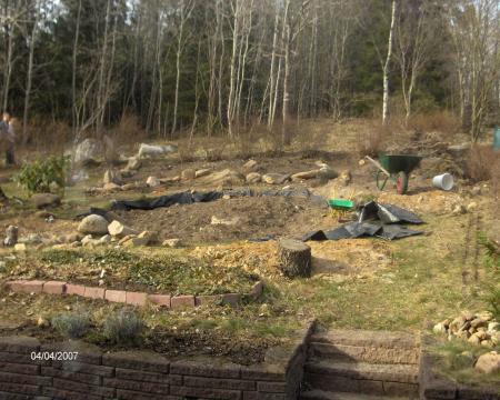gallery_7048_156_134056.jpg
