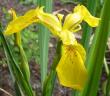 tn_gallery_14_246_1210.jpg