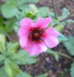tn_gallery_14_246_20595.jpg