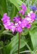tn_gallery_14_246_22640.jpg