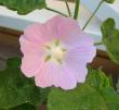 tn_gallery_14_246_30433.jpg