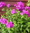 tn_gallery_14_246_3522.jpg