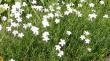 tn_gallery_14_246_3672.jpg