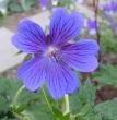 tn_gallery_14_246_3738.jpg