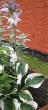 tn_gallery_14_246_39746.jpg