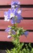 tn_gallery_14_246_42535.jpg
