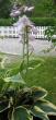 tn_gallery_14_246_45877.jpg