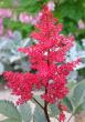 tn_gallery_14_246_47509.jpg