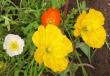 tn_gallery_14_246_7959.jpg