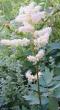 tn_gallery_14_246_11477.jpg