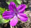 tn_gallery_14_246_25851.jpg