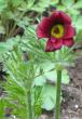 tn_gallery_14_246_28240.jpg