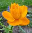 tn_gallery_14_246_713.jpg
