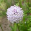 tn_gallery_14_246_7976.jpg