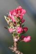 tn_gallery_5447_16_17274.jpg