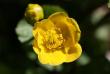 tn_gallery_5447_20_13102.jpg