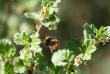 tn_gallery_5447_33_27810.jpg