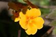 tn_gallery_5447_47_11627.jpg