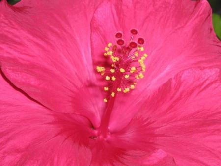 gallery_5447_60_13489.jpg