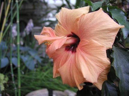 gallery_5447_60_24270.jpg